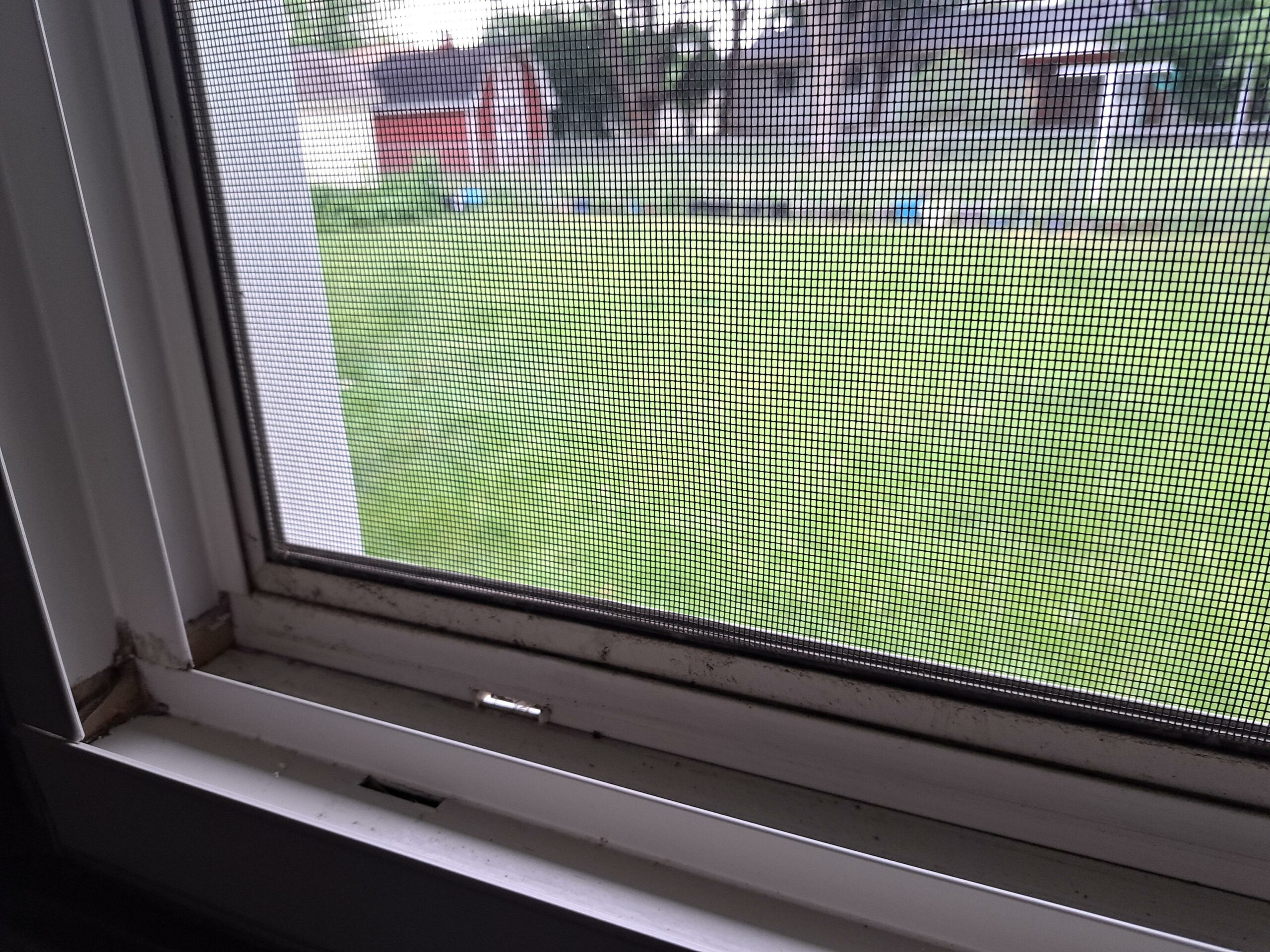 Can You Buy Windows Without Screens