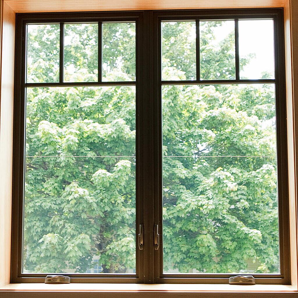Can mold grow on fiberglass windows