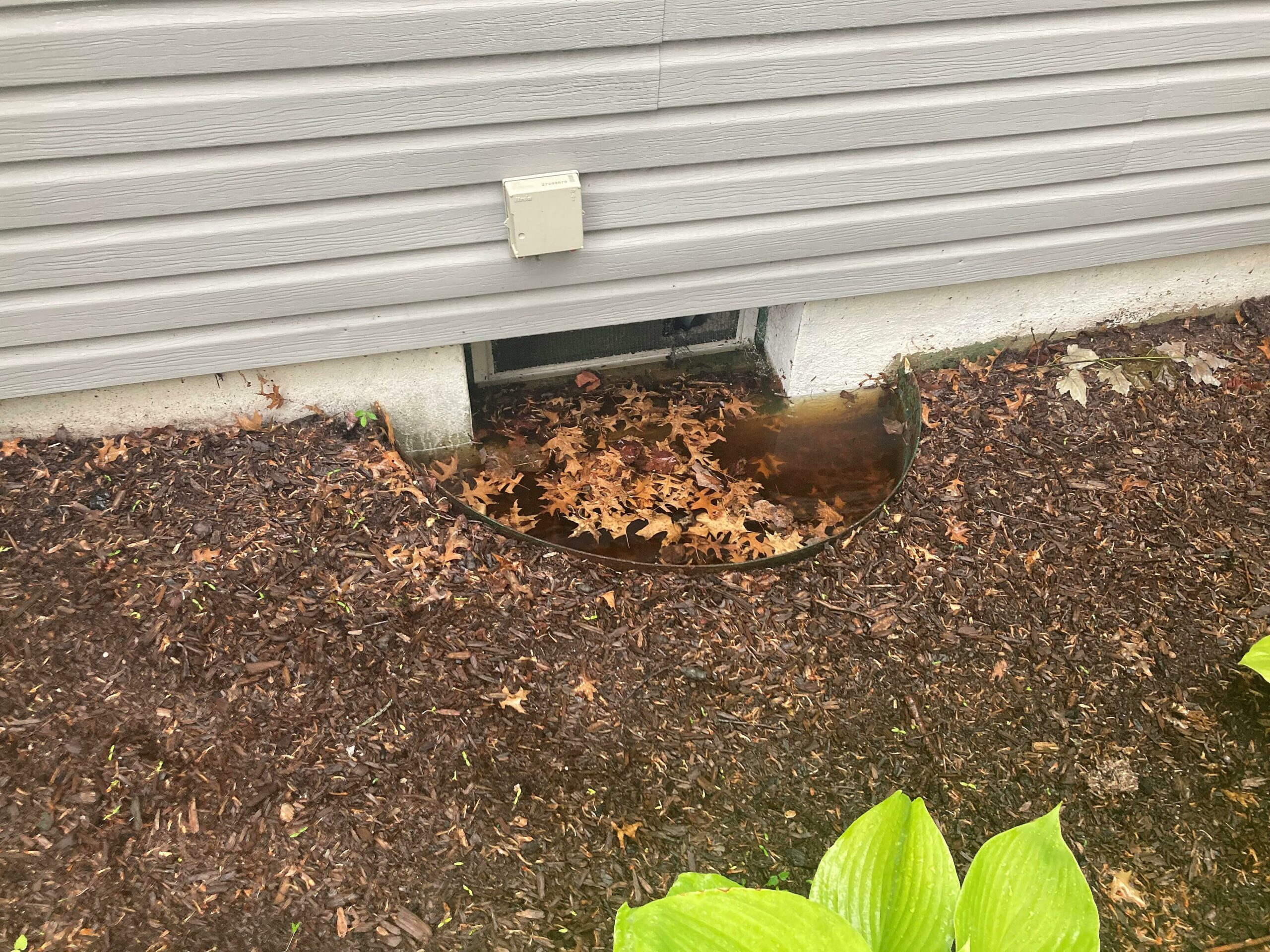 How To Keep Weeds From Growing In Window Wells