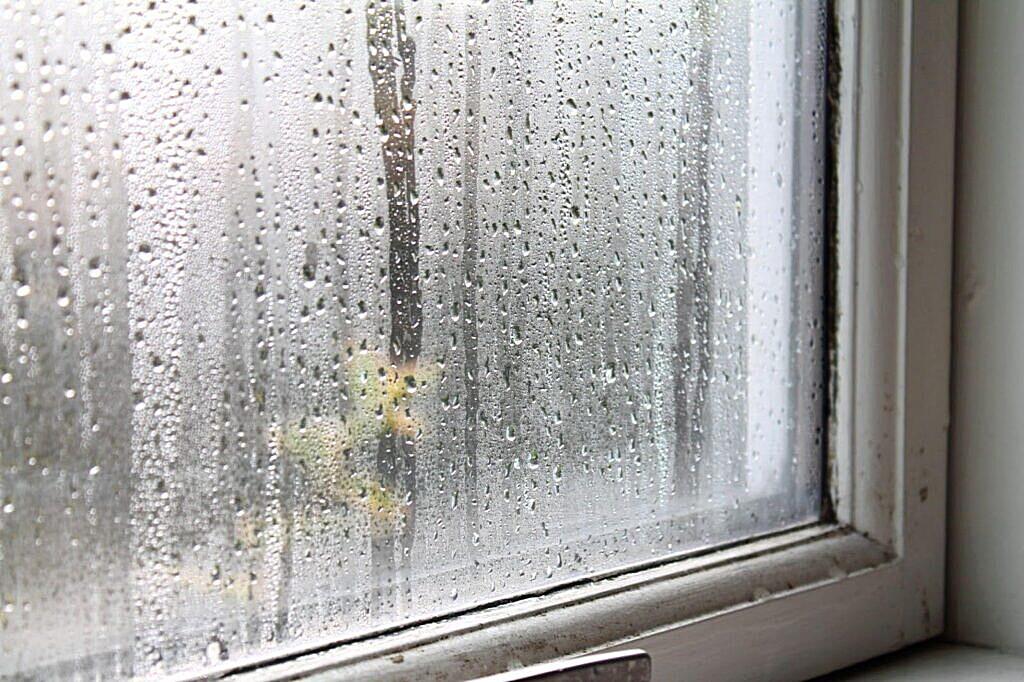 Why Are My Brand New Windows Fogging Up